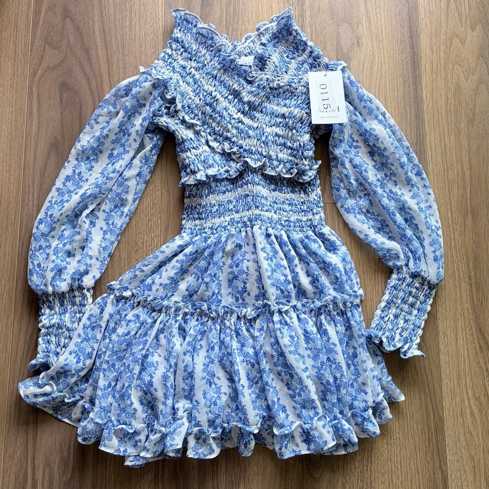 NWT MISA Los Angeles Long Sleeve Blue Floral Dress Chiffon Long Sleeve XS